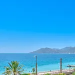 La Palme D'azur