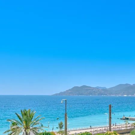La Palme D'azur